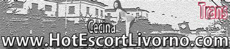 escort trans cecina|Incontri per adulti Cecina, annunci trans, escort, donne, coppie e ...